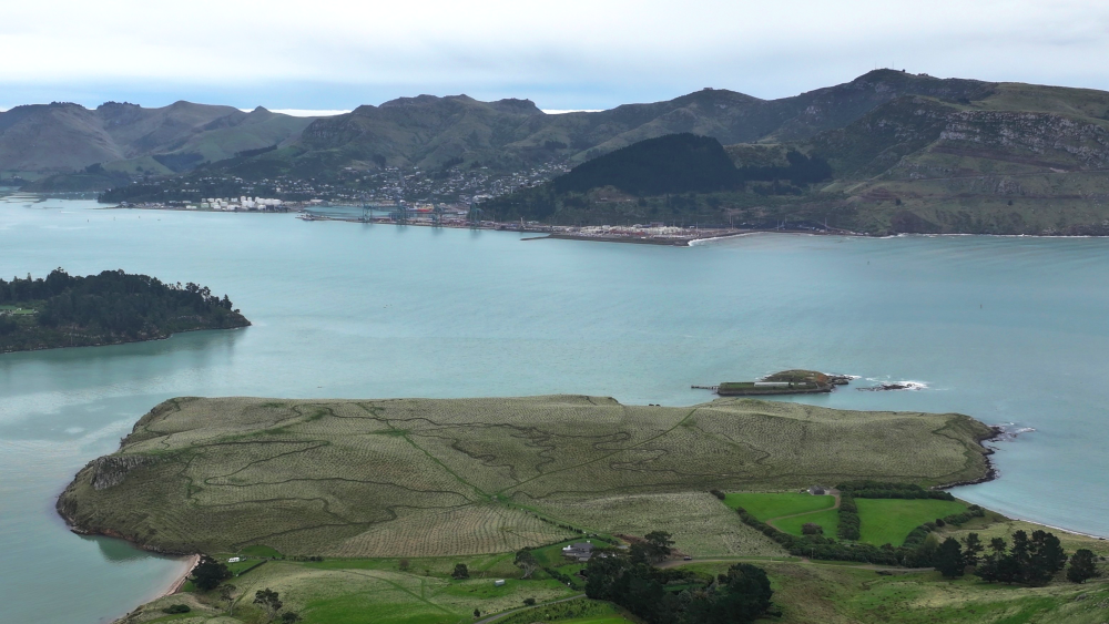 DJI 20250420084317 0207 D.edited